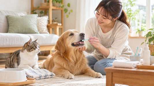 室内飼いでも油断禁物！犬・猫と暮らす家庭で見直したい衛生管理と口腔ケア
